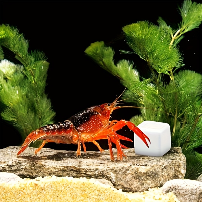 Calcium Powder Reptile - 6 adet Sürüngen Taşlama Kaplumbağa Taşları