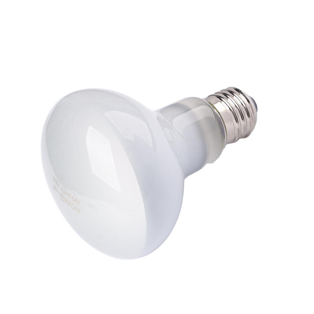 Basking Bulb Halogen - Kertenkele Isıtıcı Sıcaklık Kontrol Cihazı Halojen