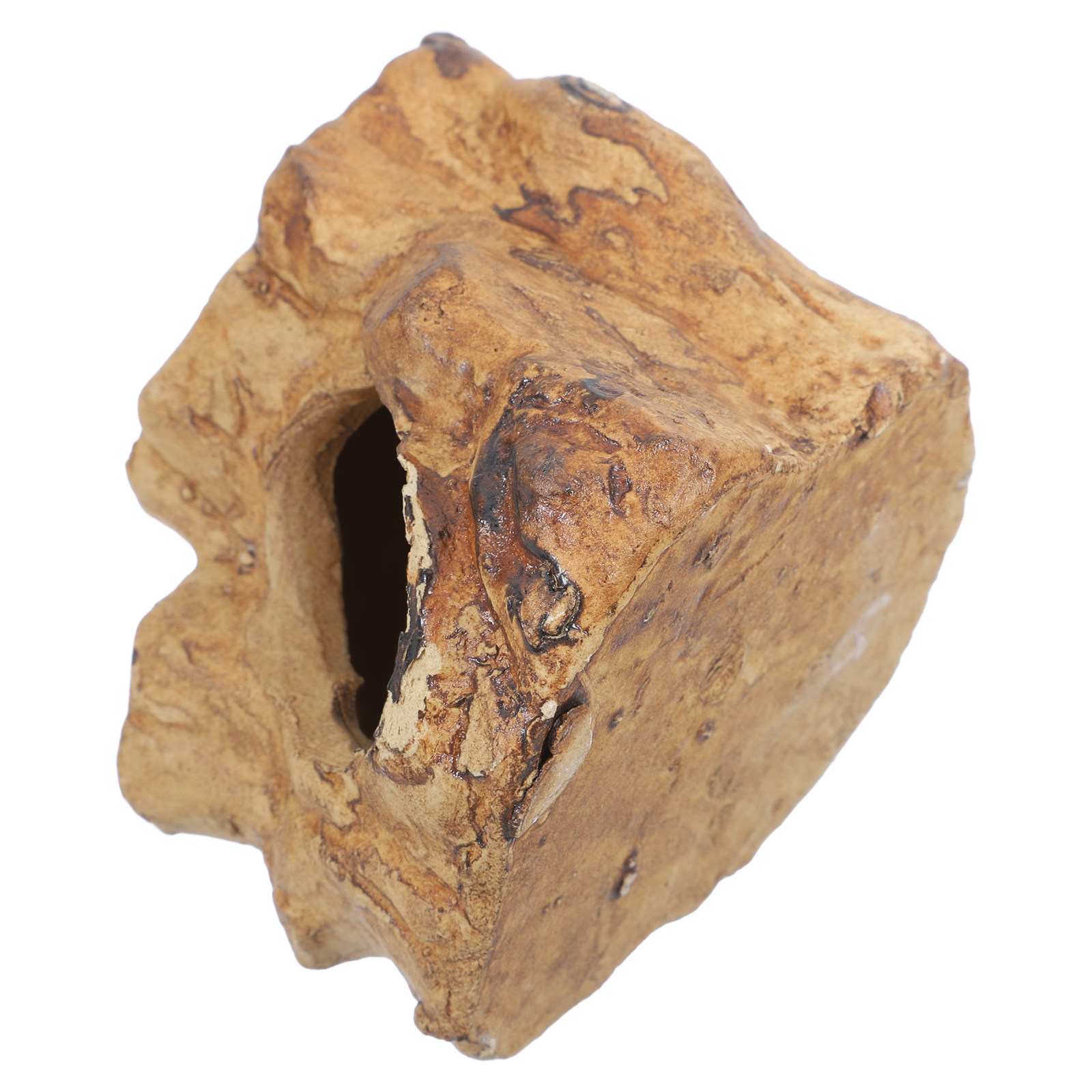 Hide Cave Ceramic - Premium Seramik Akvaryum Mağaraları Balık Tankı