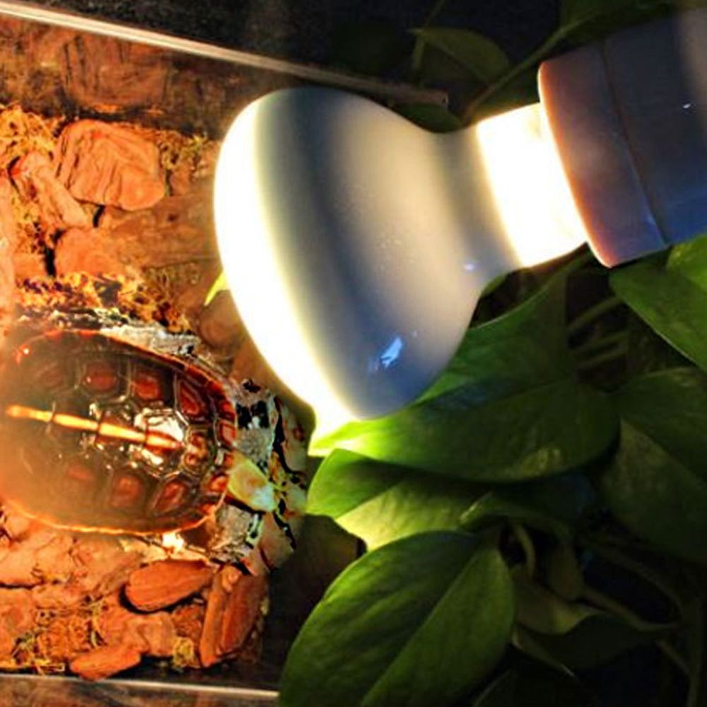Basking Bulb Halogen - Kertenkele Isıtıcı Sıcaklık Kontrol Cihazı Güneşlenme