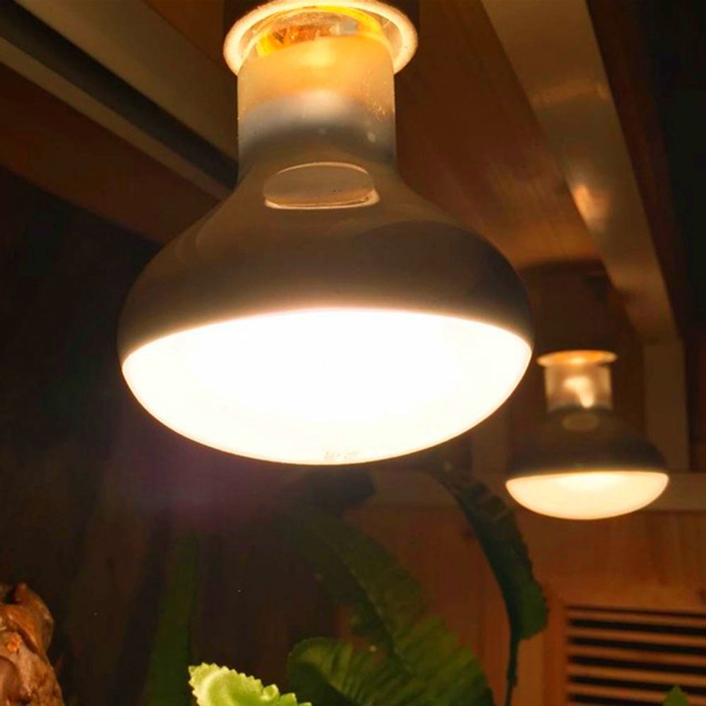 Basking Bulb Halogen - Kaplumbağa Sıcaklık Kontrol Cihazı Isıtma Lambası