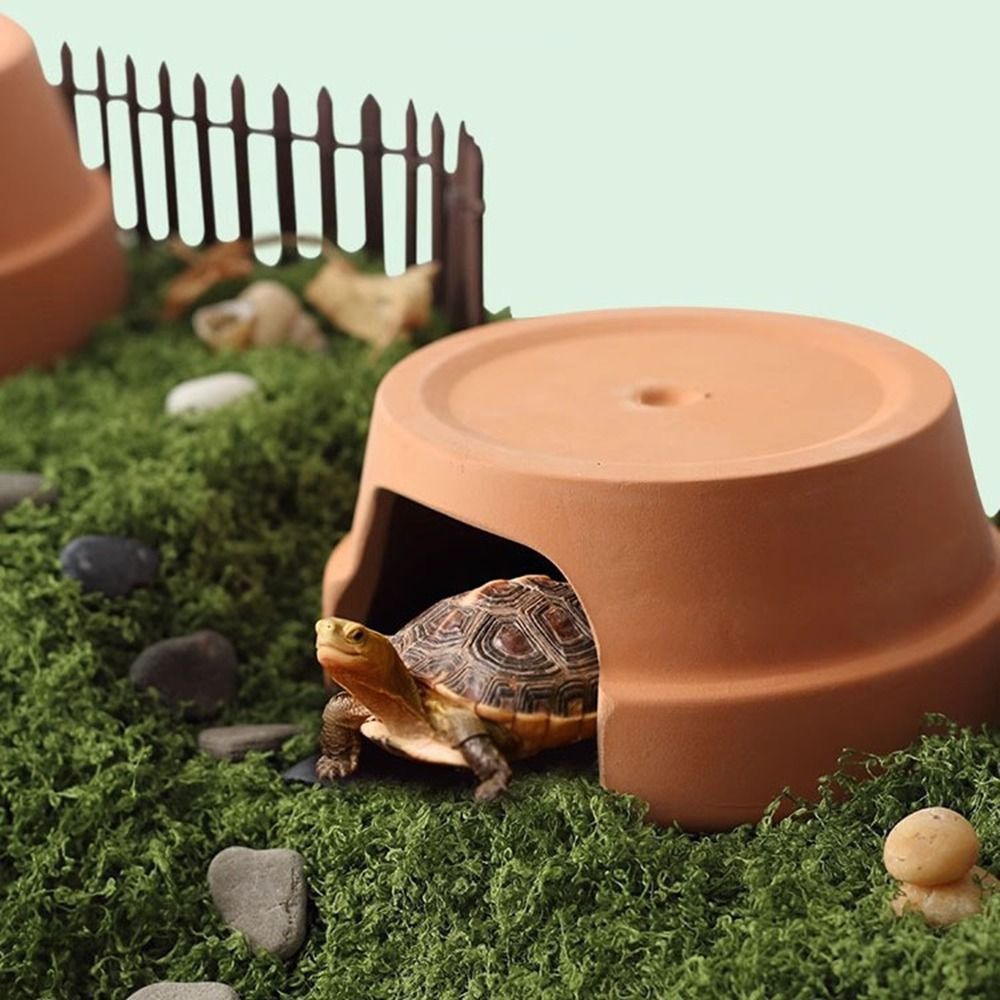 Çok Fonksiyonlu Seramik Sürüng - Hide Cave Ceramic incelemesi ve fiyatı