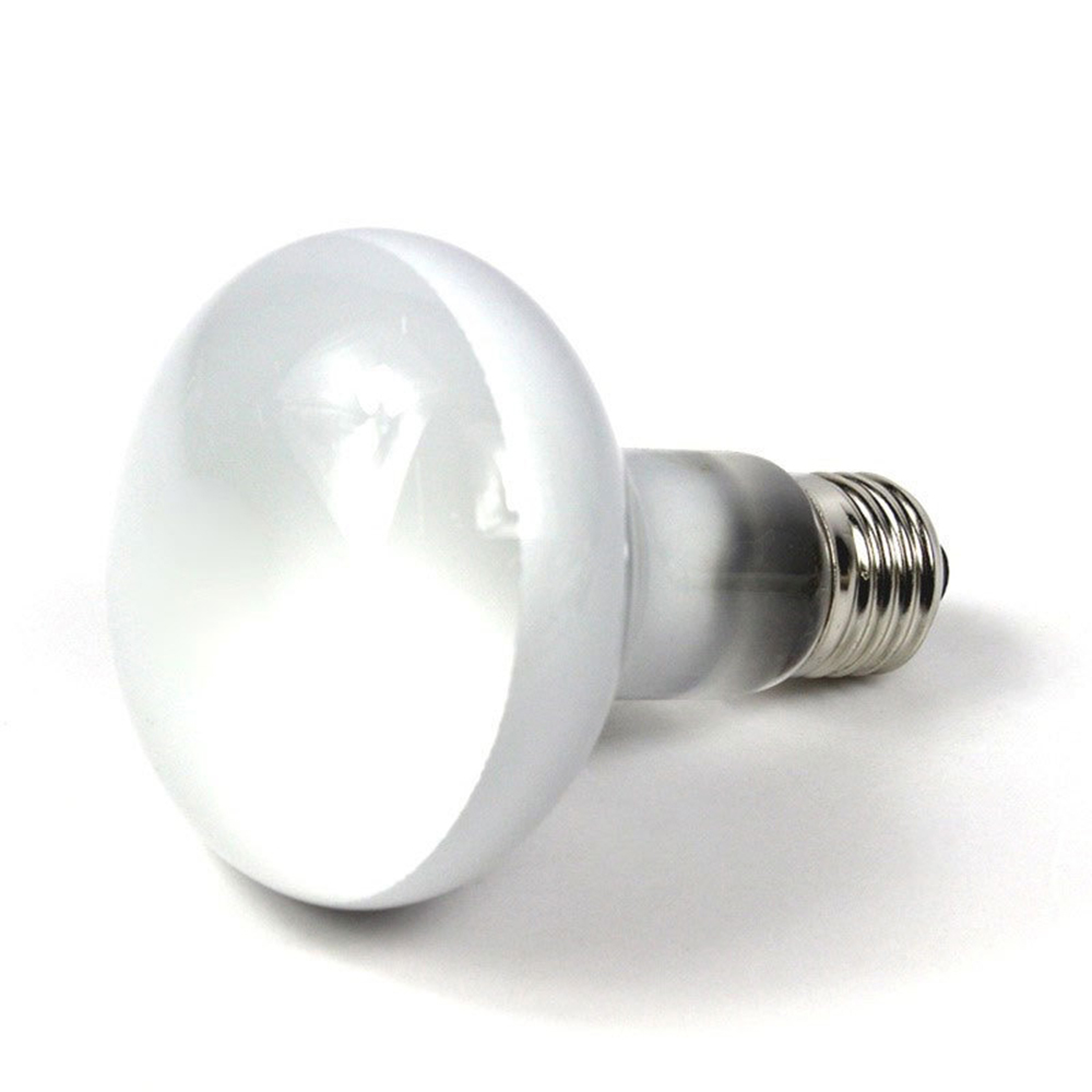 Kertenkele Isıtıcı Sıcaklık Ko - Basking Bulb Halogen incelemesi ve fiyatı