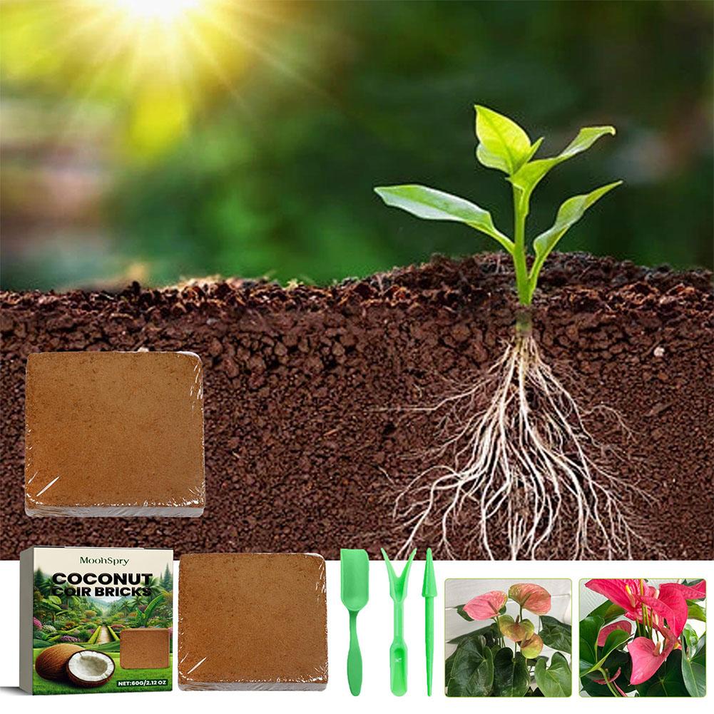 Sürüngen Hindistan Cevizi Topr - Substrate Coconut Fiber incelemesi ve fiyatı