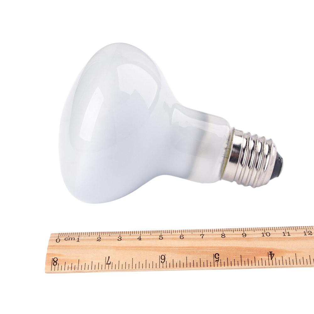 Kertenkele Isıtıcı Sıcaklık Ko - Basking Bulb Halogen incelemesi ve fiyatı