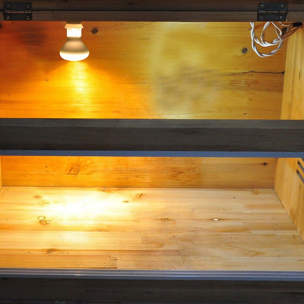 Kertenkele Sıcaklık Kontrol Ci - Basking Bulb Halogen incelemesi ve fiyatı