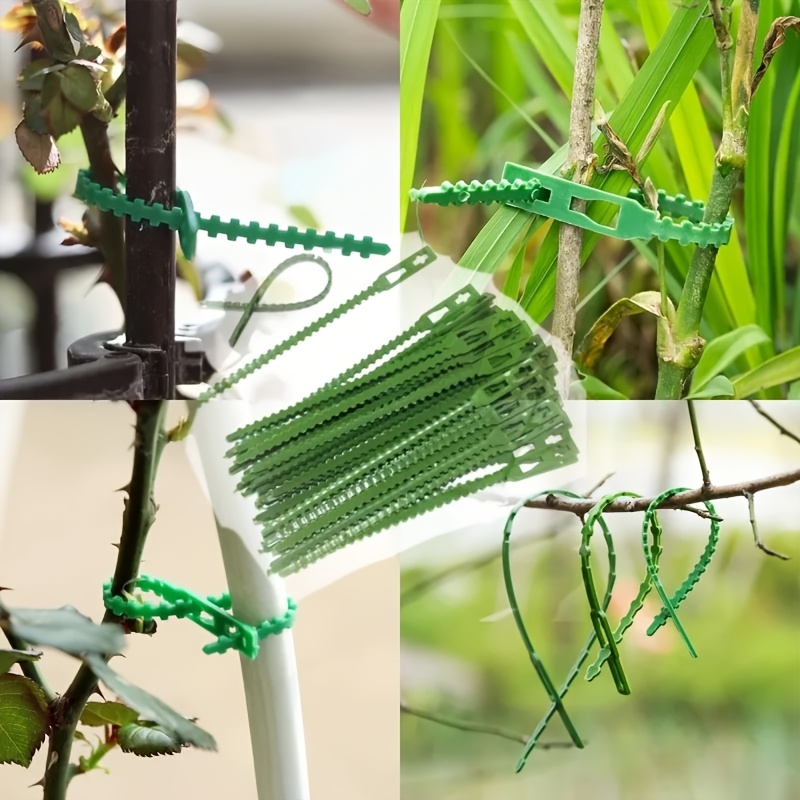 100 ADET Yeniden Kullanılabili - Vine Climbing Plastic incelemesi ve fiyatı
