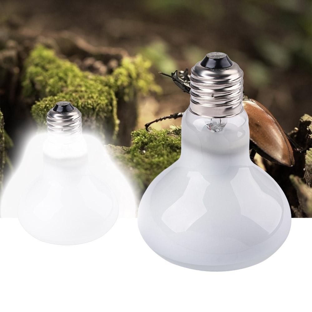 Amfibiler için Isıtıcı Isı Lam - Basking Bulb Halogen incelemesi ve fiyatı
