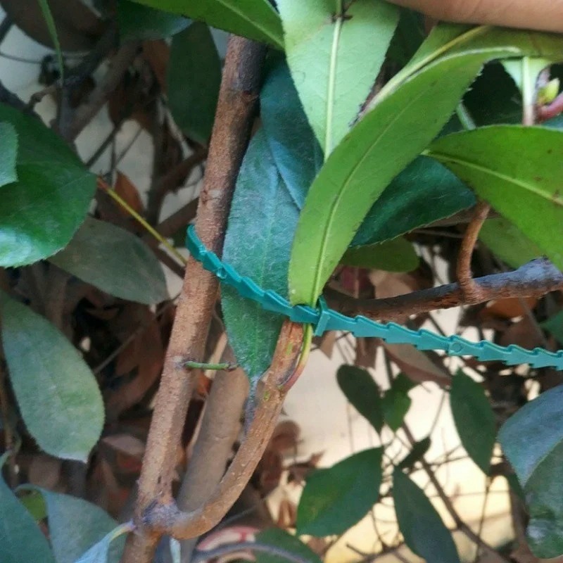 50 adet Ayarlanabilir Plastik  - Vine Climbing Plastic incelemesi ve fiyatı