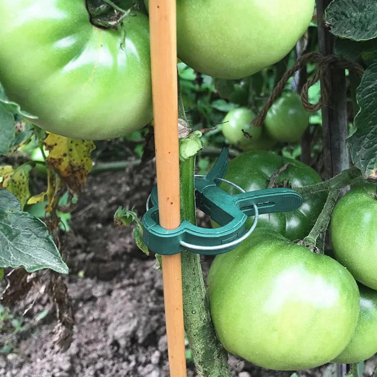 Bitki Sabitleme Klipsleri Yeni - Vine Climbing Plastic incelemesi ve fiyatı