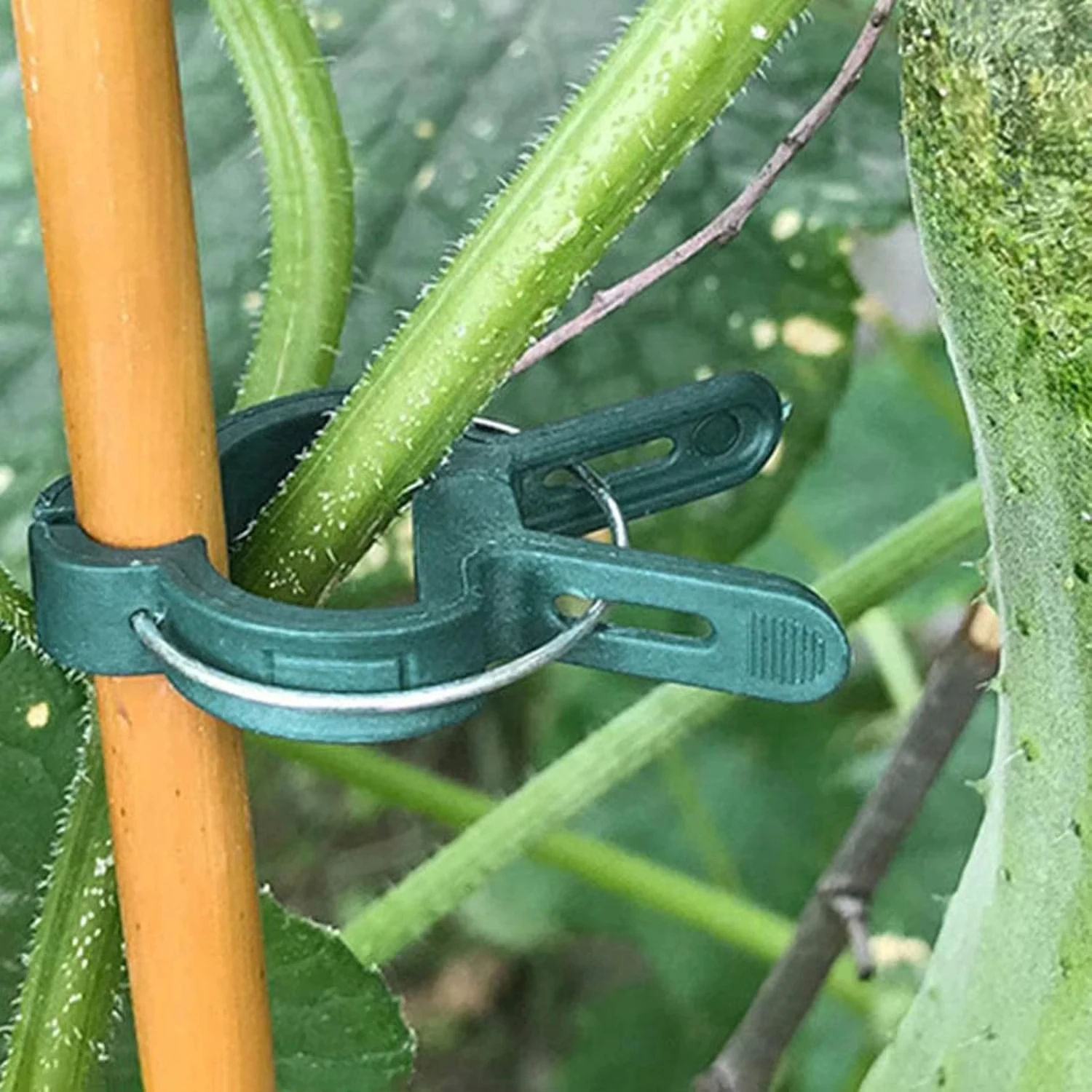 Bitki Sabitleme Klipsleri Yeni - Vine Climbing Plastic incelemesi ve fiyatı