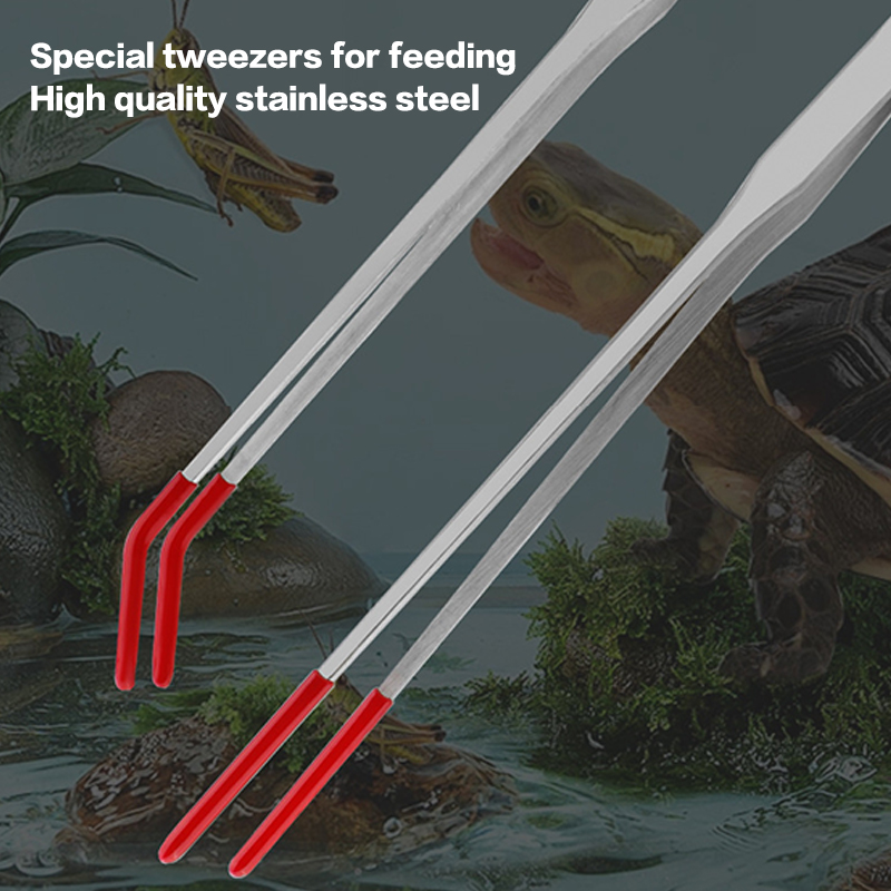 Paslanmaz Çelik Balık Tankı Ba - Feeding Tong Stainless incelemesi ve fiyatı
