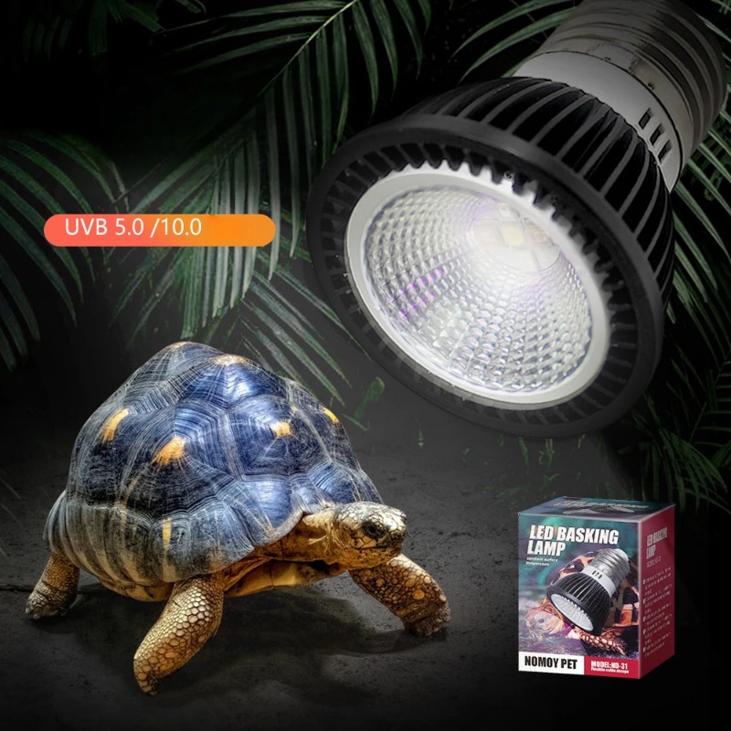 NOMOY Sürüngen 110/220 V UVB + - Calcium Powder Reptile incelemesi ve fiyatı