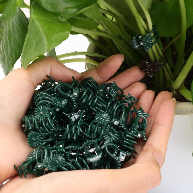 Toptan Mini Bitki Destek Klips - Vine Climbing Plastic incelemesi ve fiyatı
