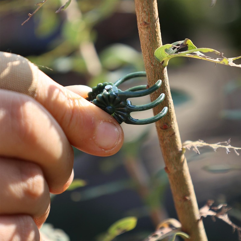 Toptan Mini Bitki Destek Klips - Vine Climbing Plastic incelemesi ve fiyatı