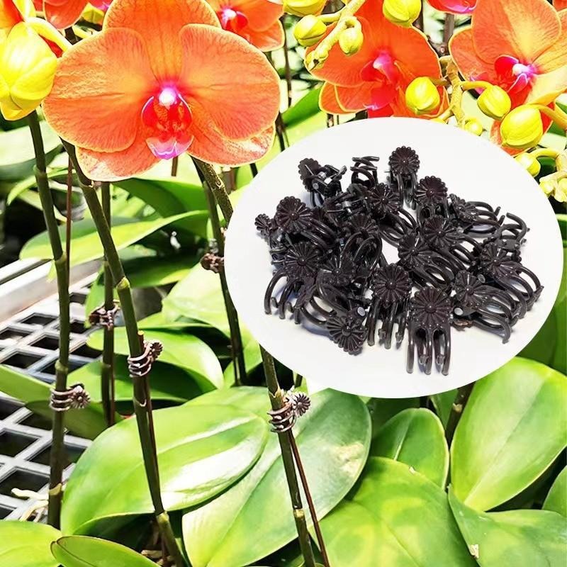 Toptan Mini Bitki Destek Klips - Vine Climbing Plastic incelemesi ve fiyatı