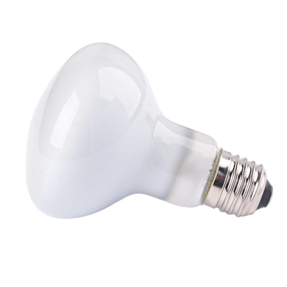 Amfibiler Sıcaklık Kontrol Cih - Basking Bulb Halogen incelemesi ve fiyatı