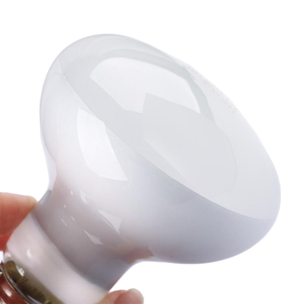 Kaplumbağa Isıtıcı Sıcaklık Ko - Basking Bulb Halogen incelemesi ve fiyatı