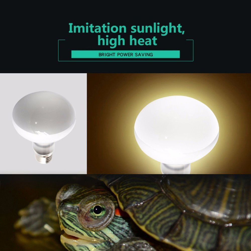 Kaplumbağa Isıtıcı Sıcaklık Ko - Basking Bulb Halogen incelemesi ve fiyatı
