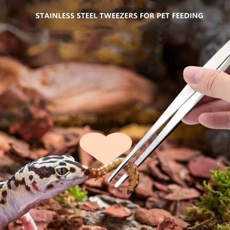 Paslanmaz Çok Fonksiyonlu Çeli - Feeding Tong Stainless incelemesi ve fiyatı
