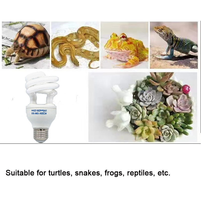 E27 13W/26W sürüngen Uvb lamba - Calcium Powder Reptile incelemesi ve fiyatı