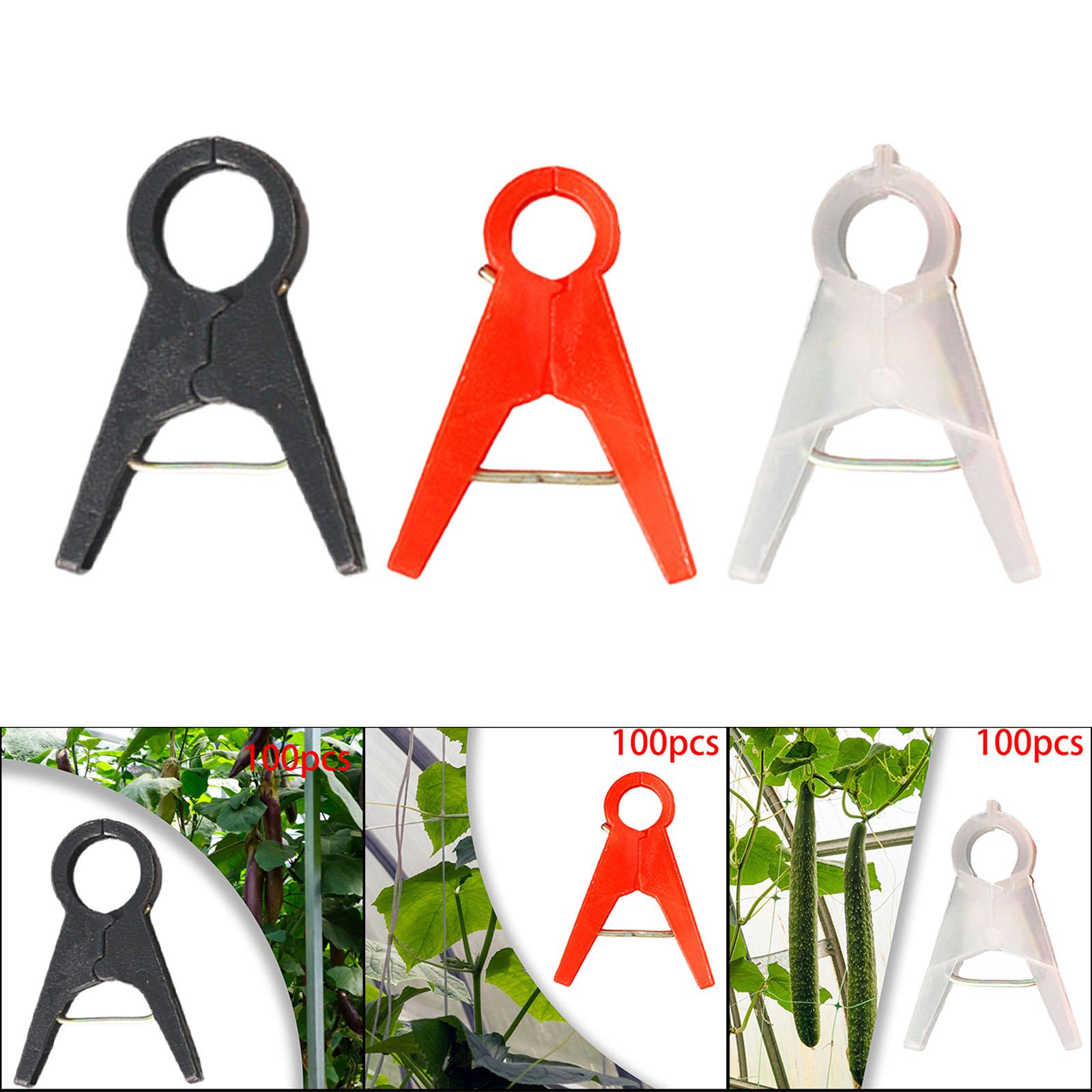 100 adet bahçe bitki destek kl - Vine Climbing Plastic incelemesi ve fiyatı