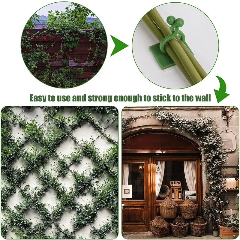 1/30/50 adet bahçe aksesuarlar - Vine Climbing Plastic incelemesi ve fiyatı