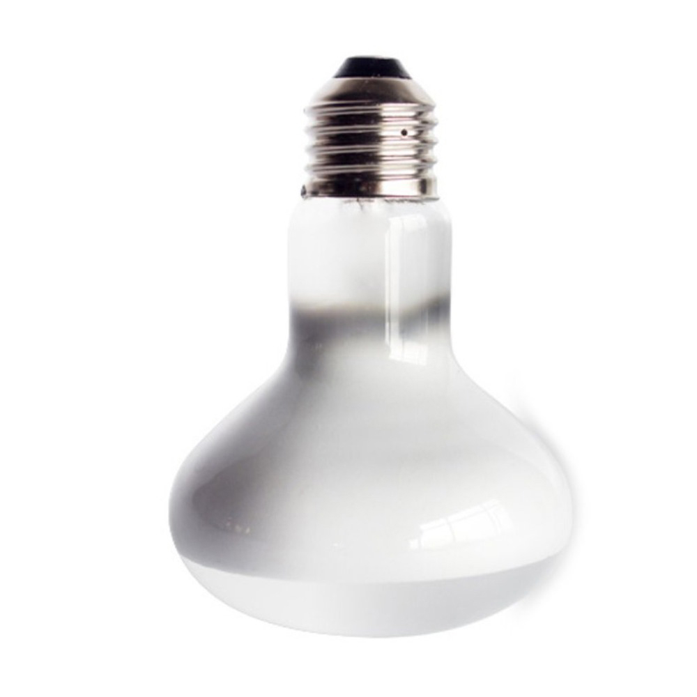 Kaplumbağa Sıcaklık Kontrol Ci - Basking Bulb Halogen incelemesi ve fiyatı