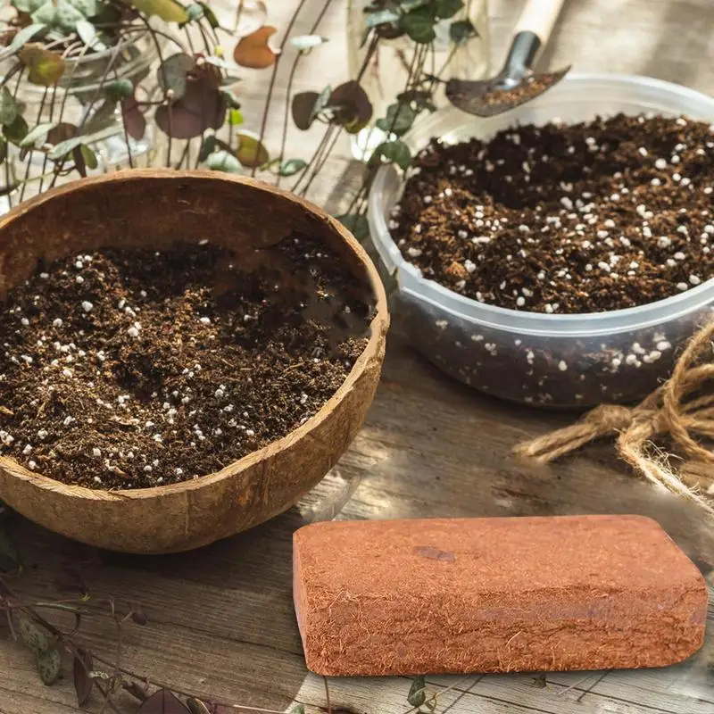 Sürüngen Hindistan Cevizi Topr - Substrate Coconut Fiber incelemesi ve fiyatı