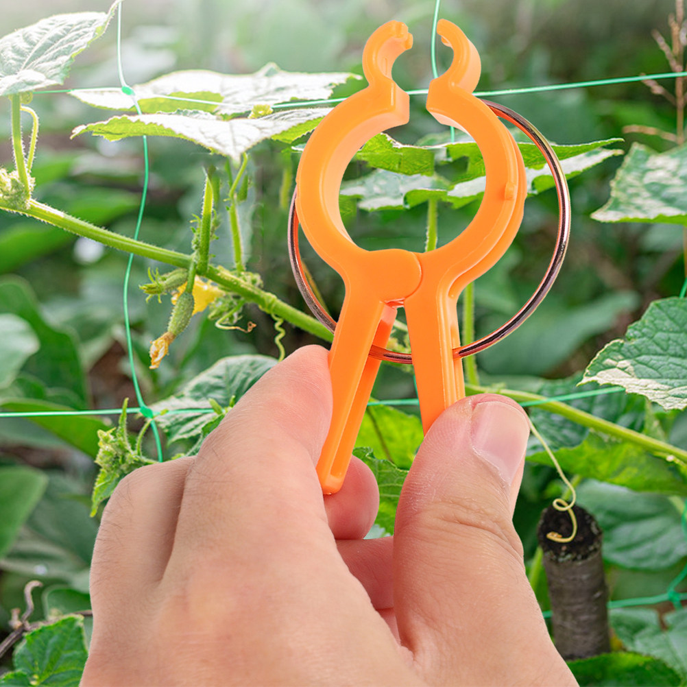 10 Adet Bitki Sabitleme Klipsl - Vine Climbing Plastic incelemesi ve fiyatı
