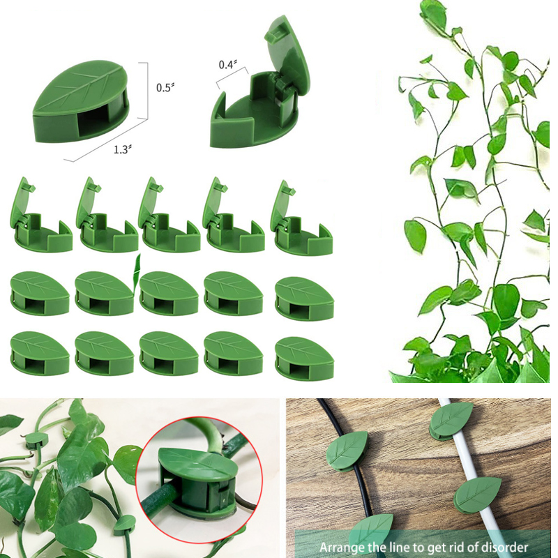 Görünmez Bitki Tırmanma Duvarı - Vine Climbing Plastic incelemesi ve fiyatı