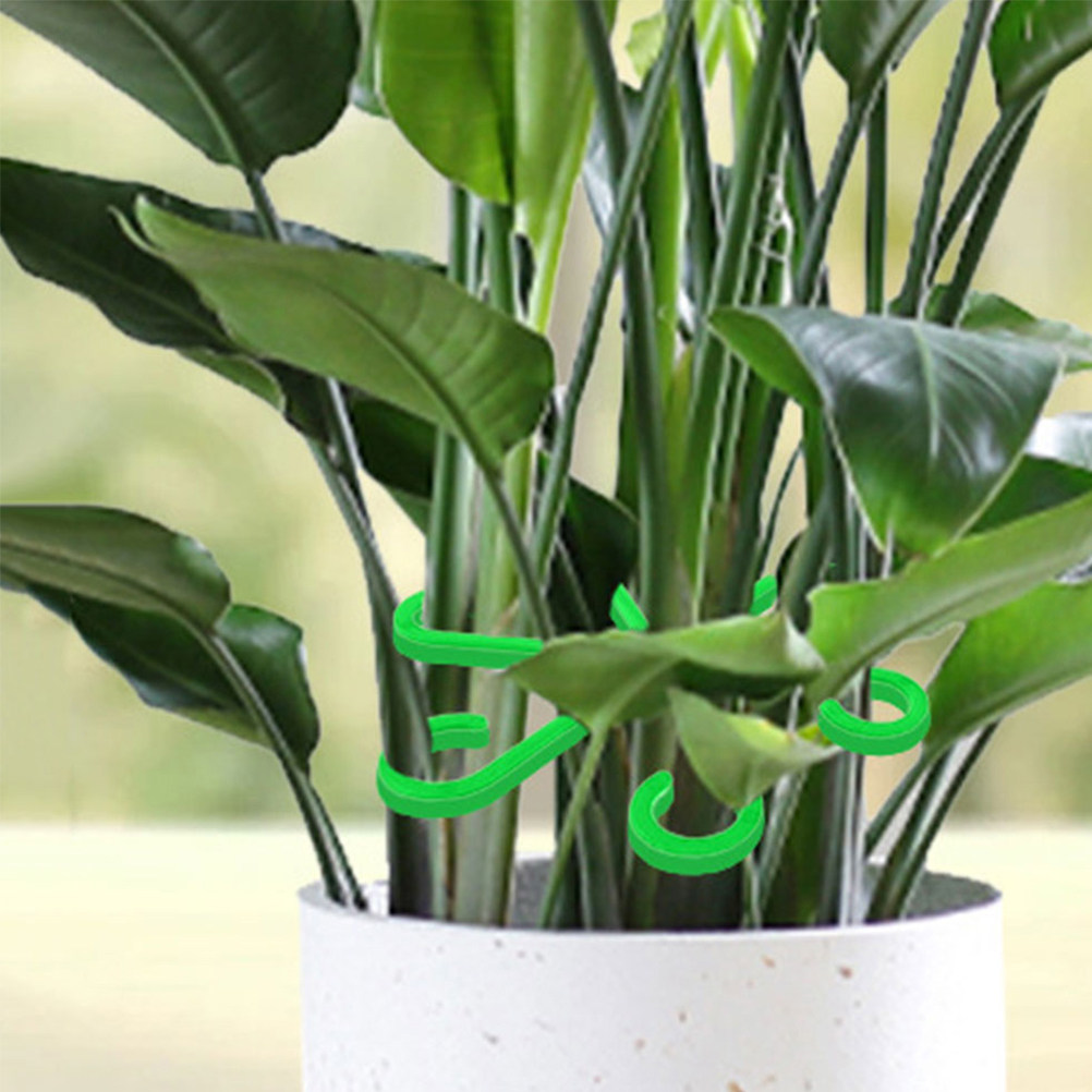 12 Adet Bitki Sapı Tutucu Plas - Vine Climbing Plastic incelemesi ve fiyatı