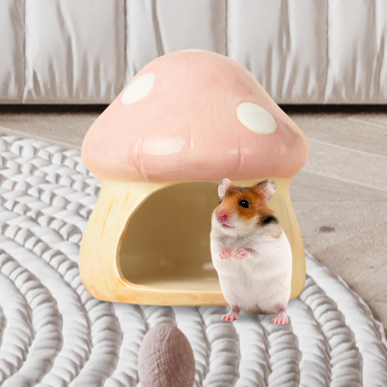 Seramik Mantar Hamster Hideout - Hide Cave Ceramic incelemesi ve fiyatı