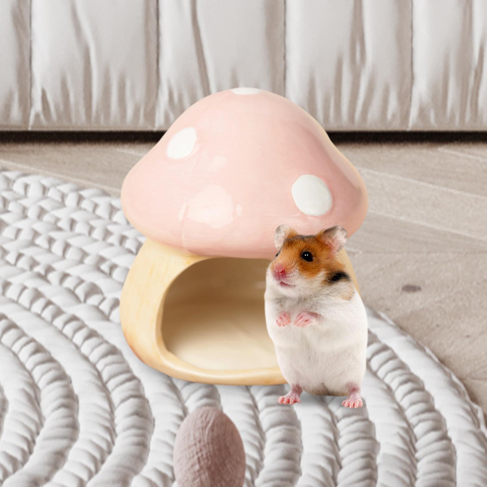 Seramik Mantar Hamster Hideout - Hide Cave Ceramic incelemesi ve fiyatı