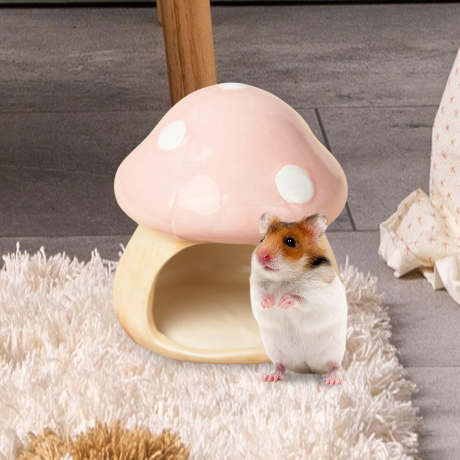 Seramik Mantar Hamster Hideout - Hide Cave Ceramic incelemesi ve fiyatı